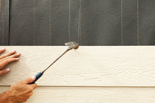 Best Siding Painting and Refinishing  in Lyncourt, NY